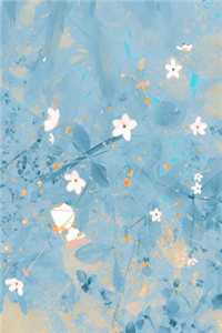 上级落水，哥哥却在陪着养妹放烟花秦珍珍秦宇最新章节免费在线阅读