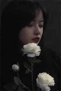 美貌杀人:大佬他又又又心动了周停贺祁全文阅读下载百度云免费小说