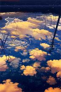 穿越成反派后，他暴击男主叶昊古乾全本免费在线阅读