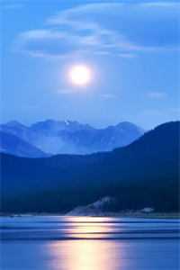 不属于海的风唐栖雾靳沉野全章节笔趣阁小说在线阅读