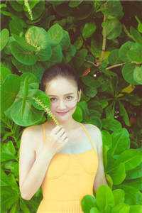 朝云绚丽一瞬苏倾月谢青临最新章节列表_笔趣阁