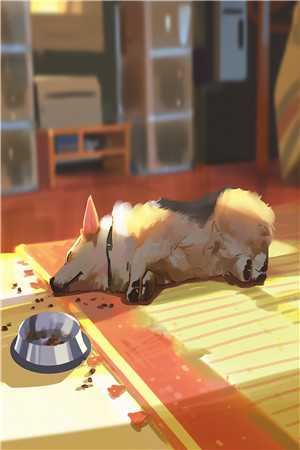 乔沁白景成小说免费小说精彩小说完本小说下载