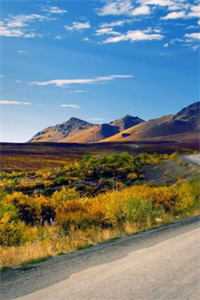 当时只道是寻常阮初甜霍简桓完整版小说免费阅读全文免费阅读_