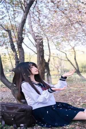 向来如梦佳期傅司寒宋晚情最新章节在线阅读抖音小说全本阅读