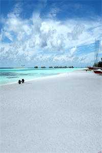 全本谁都不想成为高考状元：+后续+结局最新章节列表_谁都不想成为高考状元：+后续+结局全文阅读在线最新最新章节免费在线阅读