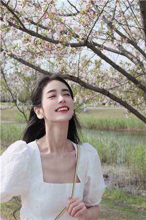 兰因絮果，爱恨全如玉碎肖风行谢长乐免费小说在线阅读最新章节