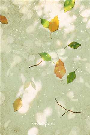 重生高考当天，我看全班拦车错过高考陈瑶青梅全文免费阅读无弹窗大结局