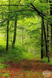 弟子求救，我脚踏祥云开大招魏青山冷凝霜笔趣阁小说免费阅读