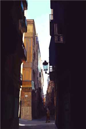 拾云为笺焚风作别:结局+番外姜知月周景珩郁萌最新章节在线阅读全本在线阅读