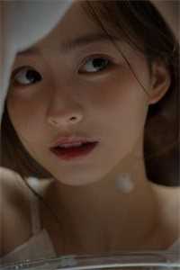 疯茶退让畅销书目