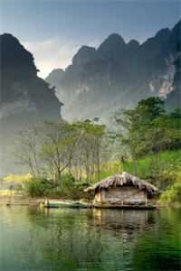 高质量小说阅读替补上场后,我成了对面战队噩梦