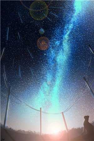 精品篇海贼革命:染血的弗朗明哥圆舞曲