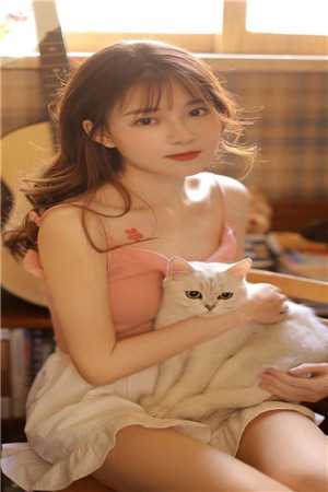 大唐:被听心声后,我成了朝中重臣完整作品阅读