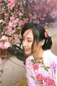 精品全集冒牌皇帝,三宫六院齐上阵