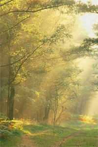 畅销书目契约亿万富翁后,她每天都在盼着他进ICU