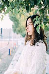 完整文本我都修仙了,还要读书?