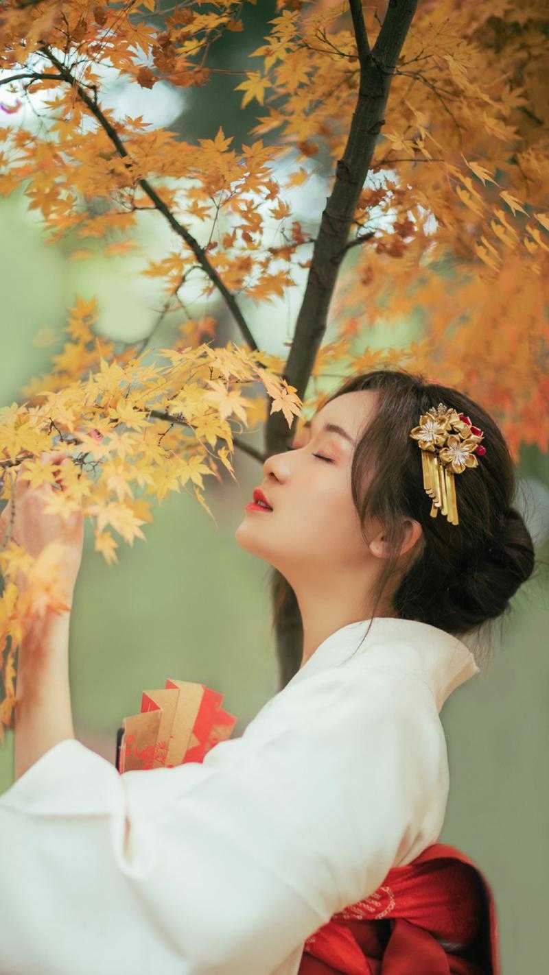 神豪争霸:我走向赛季巅峰全本小说推荐